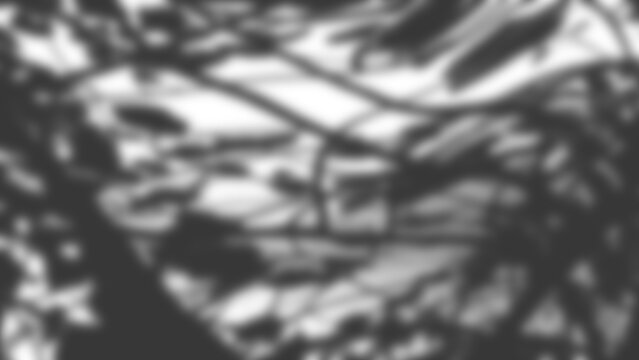 Realistic foliage shadow effect with blurred edges ideal for adding natural lighting to digital compositions, 2d render with blur effect