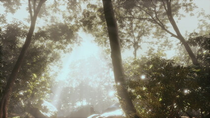 Soft beams of sunlight break through a lush canopy in a tranquil forest during early morning. The scene is filled with greenery and a peaceful atmosphere, inviting nature lovers to explore.