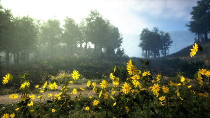 Obraz premium Golden yellow flowers sway gently in the morning light beside a peaceful forest path. Trees stand tall in the background, creating a tranquil atmosphere for nature lovers.