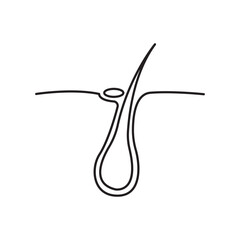 Hair Follicle Skin Health Anatomy and Growth Cycle Explained in Detail Medical Diagram of Pilosebaceous Unit Structure