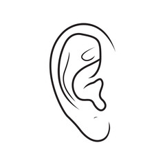Ear Line Art Anatomical Illustration Medical Drawing Hearing Organ Human Body Healthcare Illustration White Background