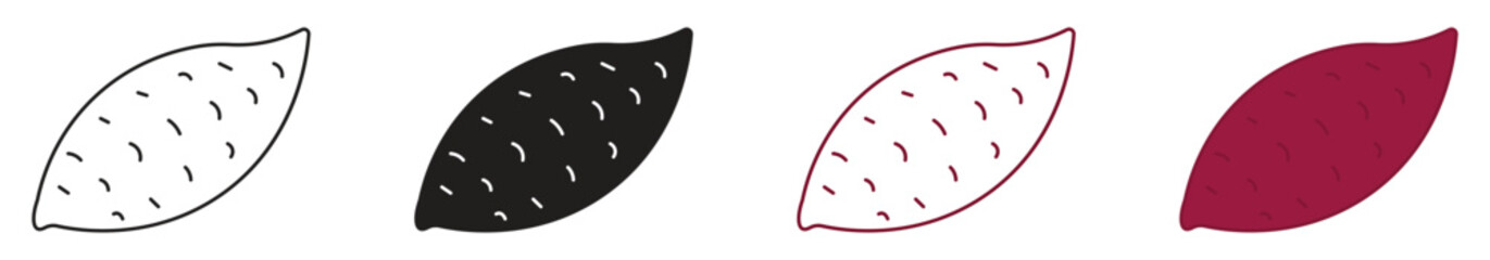Sweet potato icon symbol collection on white background. Vector illustration.