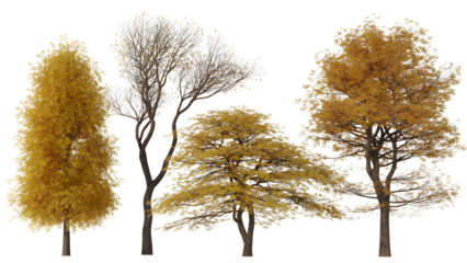 Collection of autumn trees isolated on transparent background