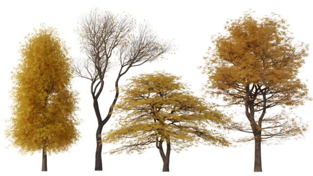 Collection of autumn trees isolated on transparent background - Powered by Adobe