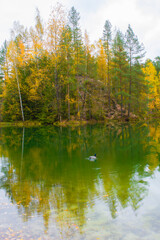 Jesienna kaczuszka 2025