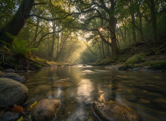Sunlight streams through ancient forest canopy, illuminating a serene river flowing over mossy rocks, creating a magical, tranquil nature scene.