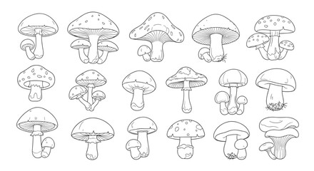 A collection of hand-drawn mushroom illustrations in a simple black and white style on a white background, perfect for designs and patterns.