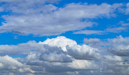 A beautiful white cumulus cloud is illuminated by the sun