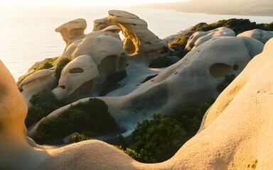 Unique Rock Formations on a Coastal Cliffside Bathed in Golden Sunlight geological erosion
