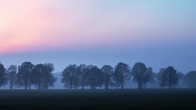 A tranquil landscape at dawn features silhouetted trees against a pastel sky