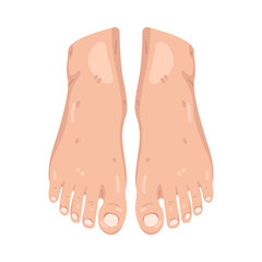 Illustration of Pair of Feet