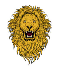 Angry lion vector illustration. Wild animal clipart design on transparent background