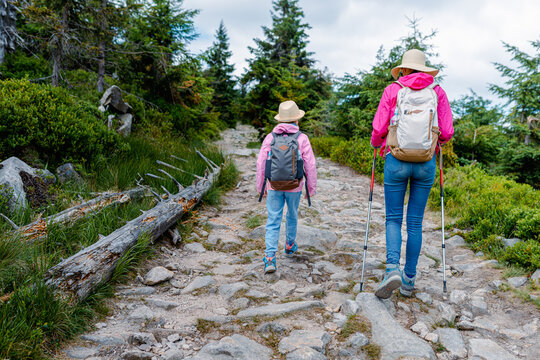 Mother and daughter hiking on a rocky forest trail with trekking poles, rear view with backpacks and sun hats, active family outdoor travel and adventure scene in summer conifer woodland