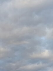 むら雲の_霜月一三日, 