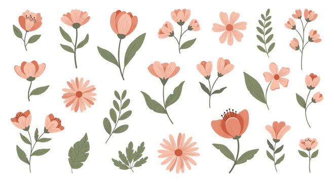 A collection of beautiful hand-drawn pink and green floral elements, perfect for spring and summer design projects and decorations.