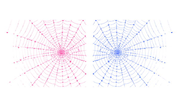 Vibrant pink and blue spiderwebs for abstract halloween design - Powered by Adobe