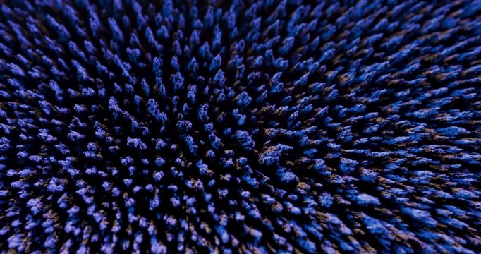 A captivating display of metal particles reacting to magnetism, creating mesmerizing abstract patterns with vibrant blue hues against a dark backdrop, ideal for motion graphics and creative projects