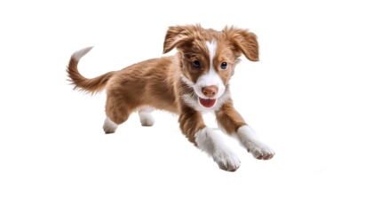 Playful Puppy Chasing Its Tail Cartoon Fun for Kids