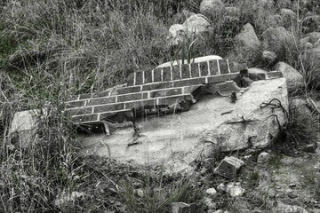 Triebgut - Strandszenen im Herbst von Treib- und Triebgut