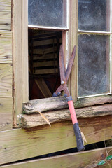 grass scissors and cabin window