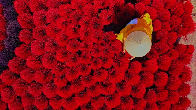 Aerial view of a woman with a conical hat surrounded by vibrant red and purple incense sticks creating a visually striking pattern, Inciense Town, Hanoi, Vietnam.