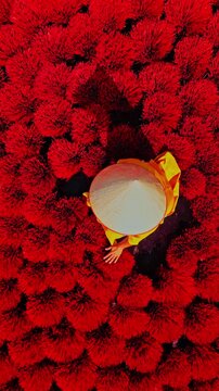 Aerial view of vibrant red incense sticks surrounding a person in traditional attire, creating a striking contrast of color and texture, Hanoi, Vietnam.