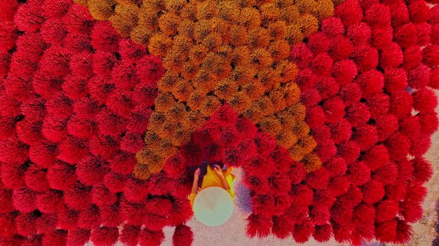 Aerial view of incense sticks meticulously arranged to form a flag, showcasing a vibrant display of contrasting colors, Hanoi, Vietnam.