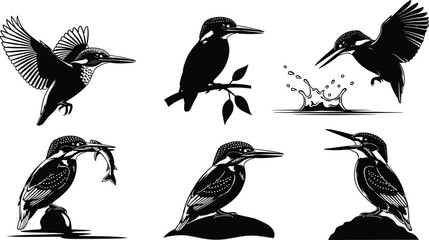 kingfisher, bird, silhouette, vector, wildlife, nature, fishing, splash, wings, beak, hunt, animal, design, artwork, illustration, kingfisher bird, bird silhouette, wildlife vector, 