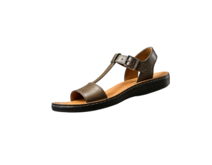 Stylish Brown Leather T-Strap Sandal with Buckle Closure