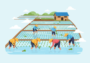 Farmers transplanting rice seedlings in flooded terraced paddies near a small house