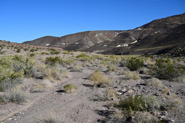 Dried up river bed on Dantes View road in California.
