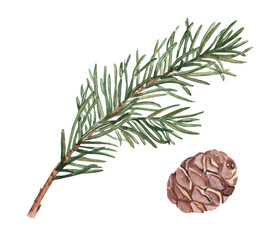 Pine or Fir Branch and cone set. Watercolor Hand painted illustration of Winter forest plant with green needles on white background. Pine or Spruce Twig For Christmas design, festive decor, packaging