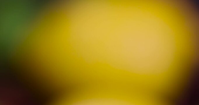 wet yellow lemon and limes lying on the table, ripe citrus fruits lemons and limes lying on a wooden table covered with drops of water