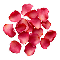 Scattered red rose petals PNG die-cut isolated on transparent background, romantic rose petals floral decoration for beauty design, spa branding, cosmetic packaging, and botanical creative projects