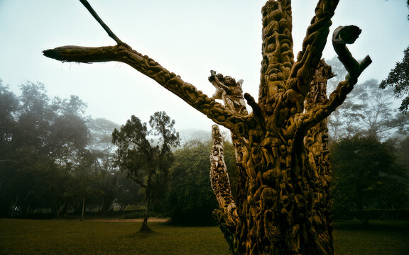 View of a carved tree trunk stands as a testament to art amidst the natural landscape, shrouded in ethereal mist, Aburi, Eastern Region, Ghana.