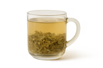 Herbal infusion brewing in glass mug, transparent background