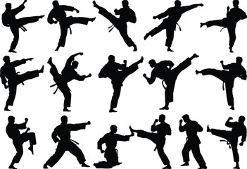 Martial arts silhouette, karate kicks, taekwondo poses, combat training, high kick technique, martial discipline, athlete movement, dojo action, black belt focus