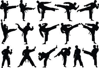 Martial arts silhouette, karate kick pose, taekwondo action, fighter stance, black figure, combat training, dynamic movement, self defense illustration