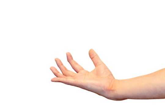 前に差し出した手