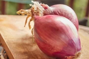 A bunch of raw, whole, red onions