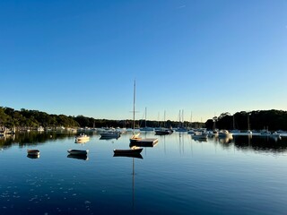 boats in the harbor