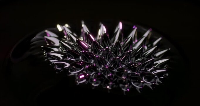 A stunning visual display of ferrofluid dynamically reacting to magnetic fields, making it perfect for eyecatching motion graphics and captivating abstract designs that inspire creativity