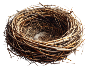 Close-up of a rustic, empty bird's nest woven from brown twigs, on a transparent background