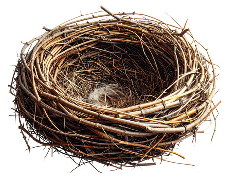 Close-up of a rustic, empty bird's nest woven from brown twigs, on a transparent background