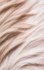 Fototapeta premium Luxurious blonde and white fur texture, soft, elegant, and visually appealing for design projects
