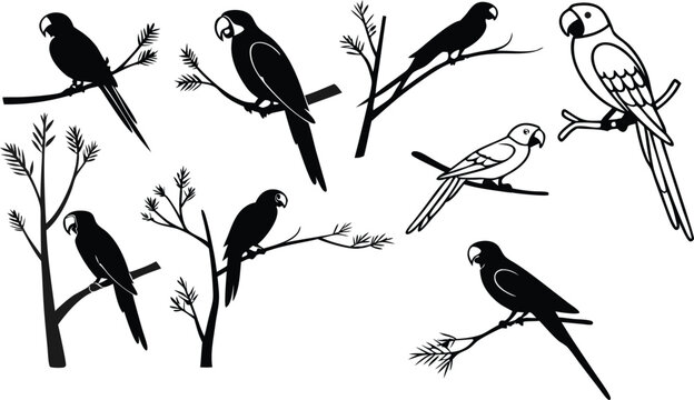 Elegant parrot silhouette collection for striking designs, a timeless symbol of tropical beauty and exotic wildlife, perfect for creative projects