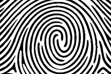 fingerprint background, print, banner. Vector white and black fingerprint texture. fingerprint background, maze, white print. Fingerprint seamless background on square shape.