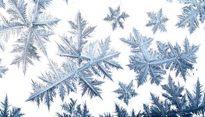 Close-up of intricate ice crystals on a dark backdrop, showcasing a frosty, natural phenomenon