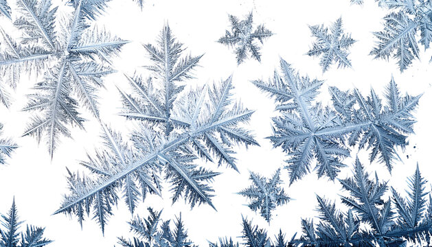 Close-up of intricate ice crystals on a dark backdrop, showcasing a frosty, natural phenomenon