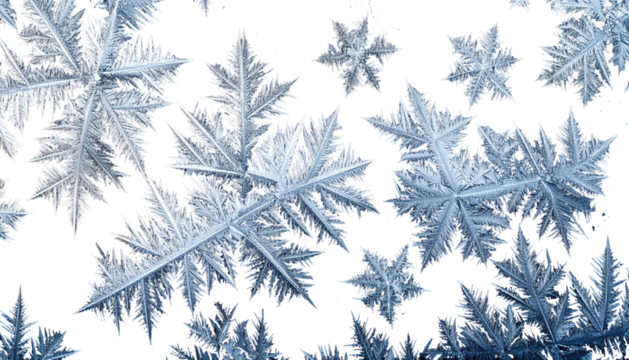 Close-up of intricate ice crystals on a dark backdrop, showcasing a frosty, natural phenomenon